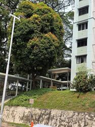 Blk 130 KIM TIAN VISTA (Bukit Merah), HDB 3 Rooms #629729871